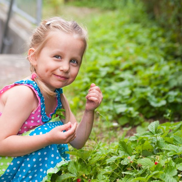 Little girl with pigtails in a bright dress sitting near wild strawberry
