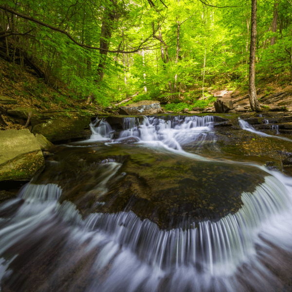 Long exposure photo of a flowing river and forest
