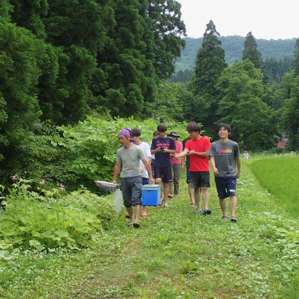 Photo of young people in Japan on a nature walk