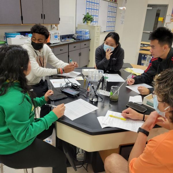 Students testing water from local aquatic ecosystems