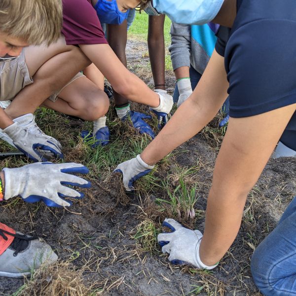 Older kids crouched to the ground, hands pulling weeds.