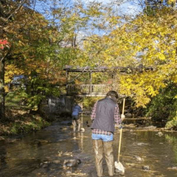 Two people walking in a shallow creek on an autumn day.