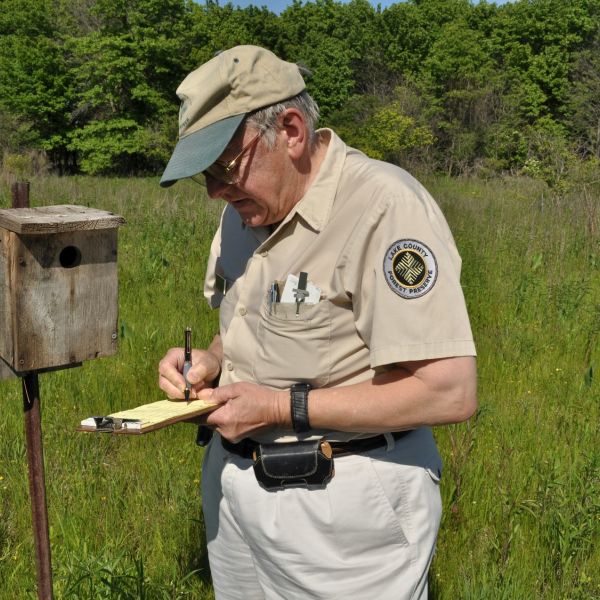 Bluebird monitor records the data from a next box: number of eggs, babies, condition, age. 