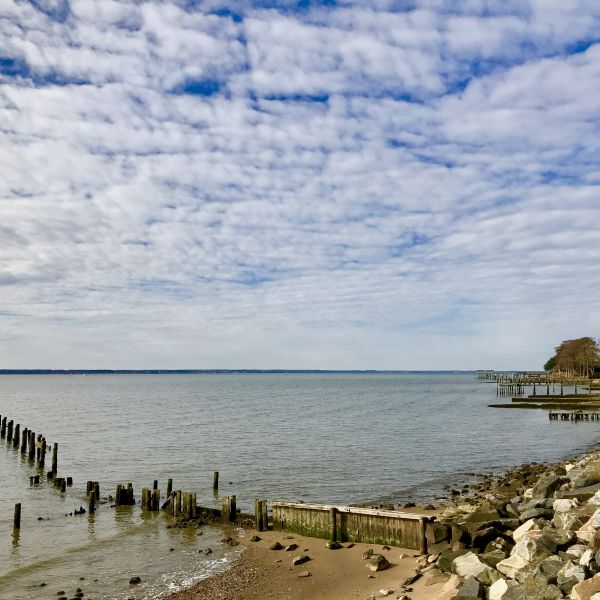 Shoreline and big sky