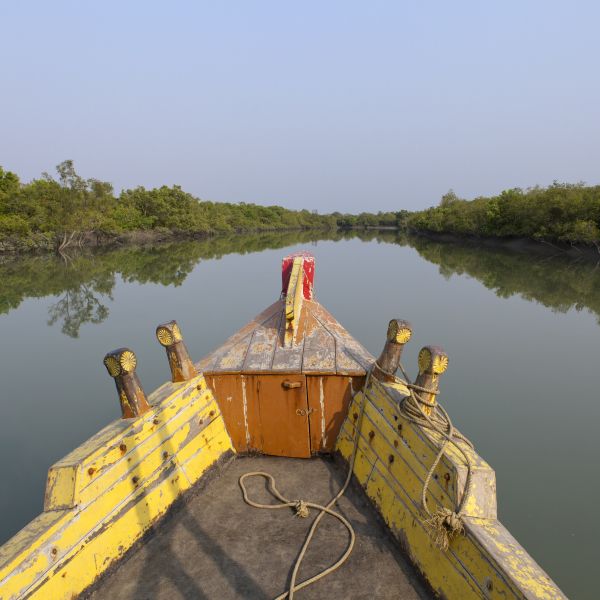A yellow and orange wooden boat in the middle of a river lined by mangroves, taken from the boat passenger's point of view