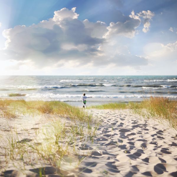 Cumulus clouds fill the sky above a grassy coast where a child walks towards the shoreline.