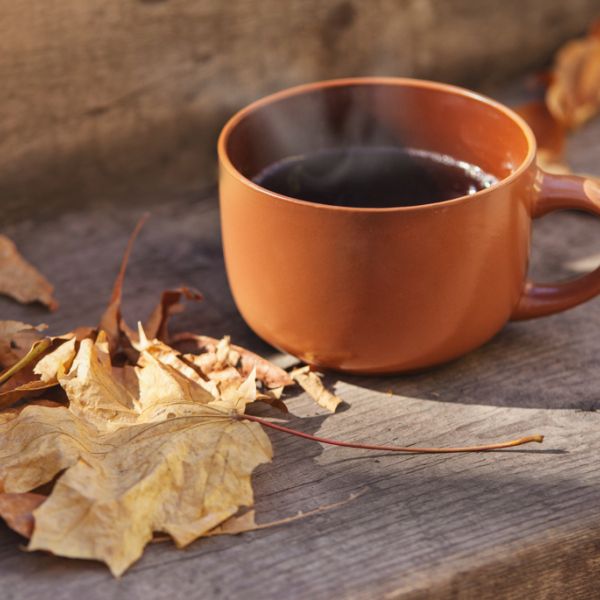 Orange mug on wooden bench. Fall leaves.