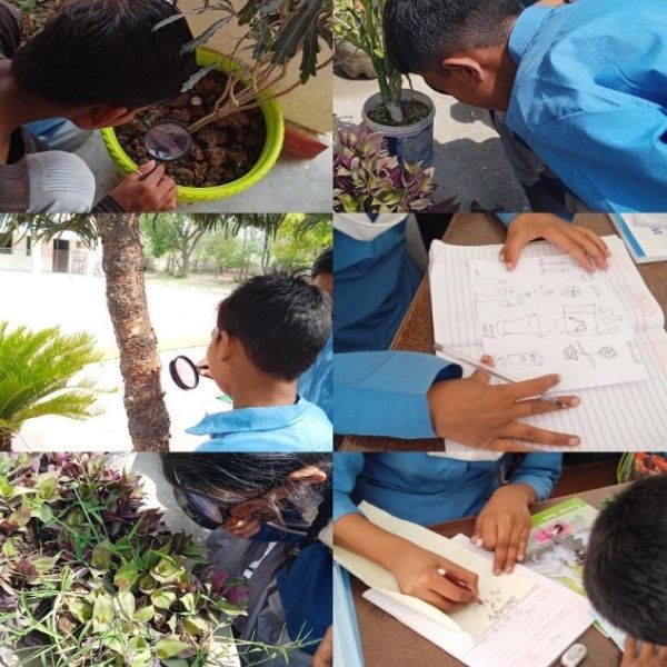 Budding Environmentalists unleashing their Exploration and Creativity