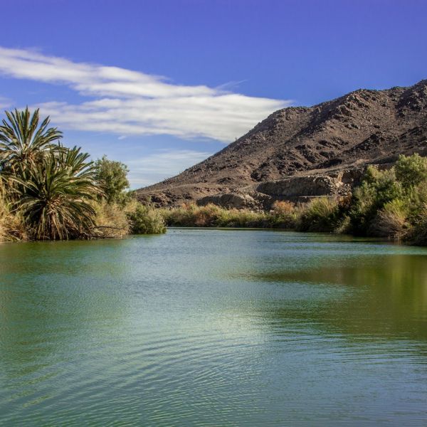 Landscape of a flowing river bordered by tall grass and a mountain