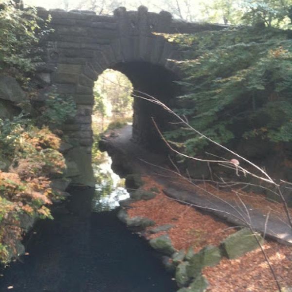 A creek flows through a stone bridge