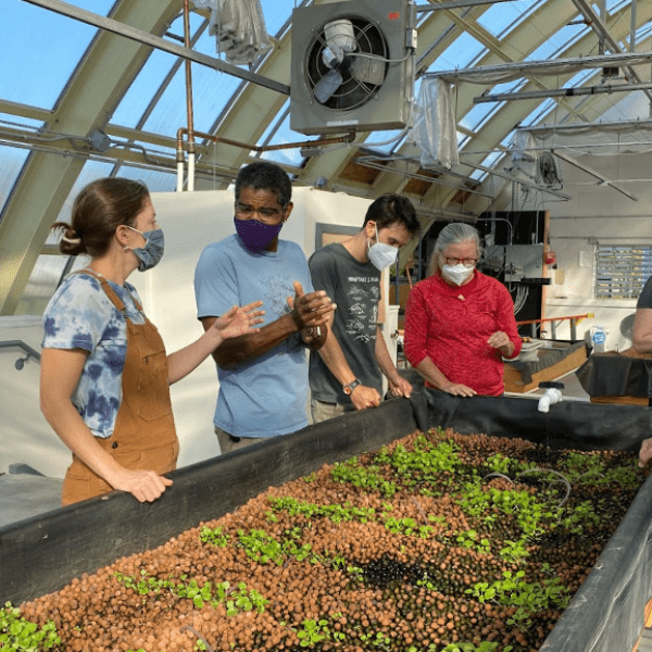 A group of people gathered around an aquaponics table with growing plants