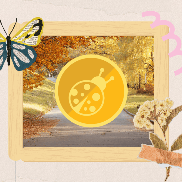A collage of a paper butterfly, flowers, popsicle sticks arranged in a frame, and a photo of a forest in autumn with the Early Childhood EE logo in front