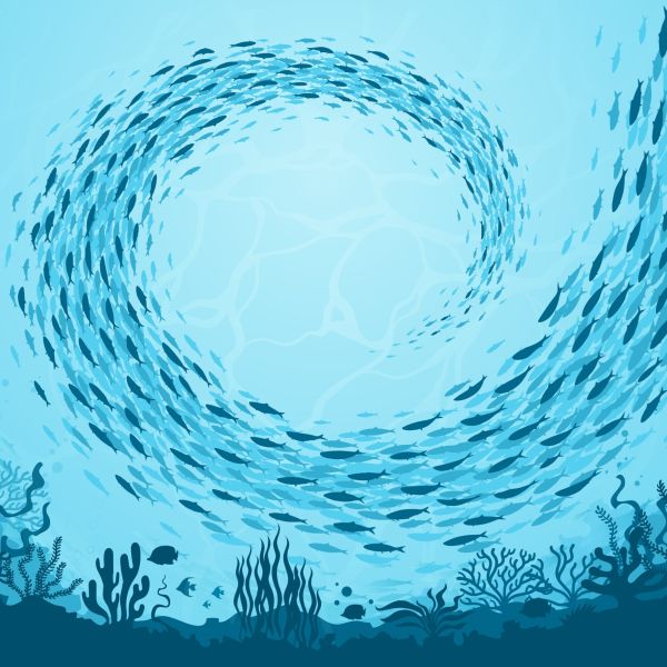 Point of view is looking up into a school of fish circling around a reef