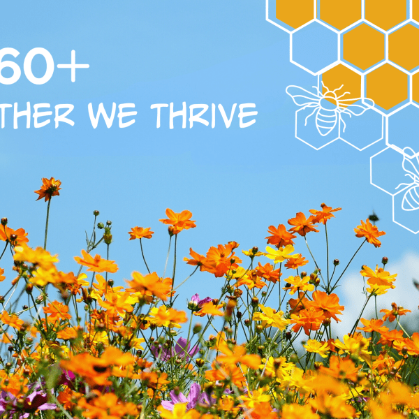 A graphic with blue sky, orange and yellow flowers announcing the ee360+ Partners blog