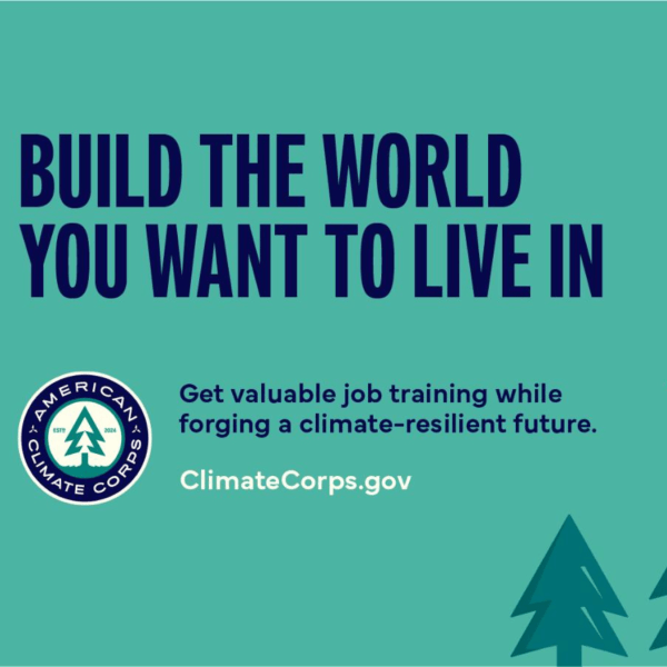 Green gradient with windmill and spruce tree illustrations and text that reads, "Build the World You Want to Live In"