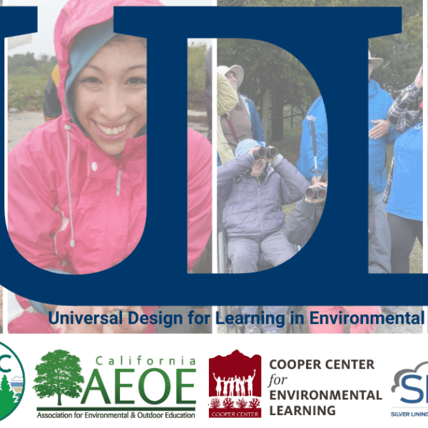 An announcement for the UDL asynchronous course 