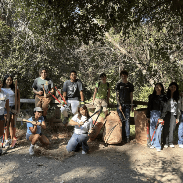 Group photo of students in a forest