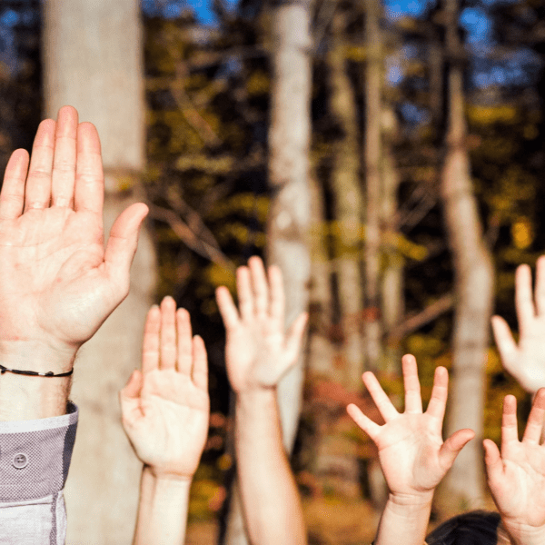 A number of hands are raised with a forest visible behind them