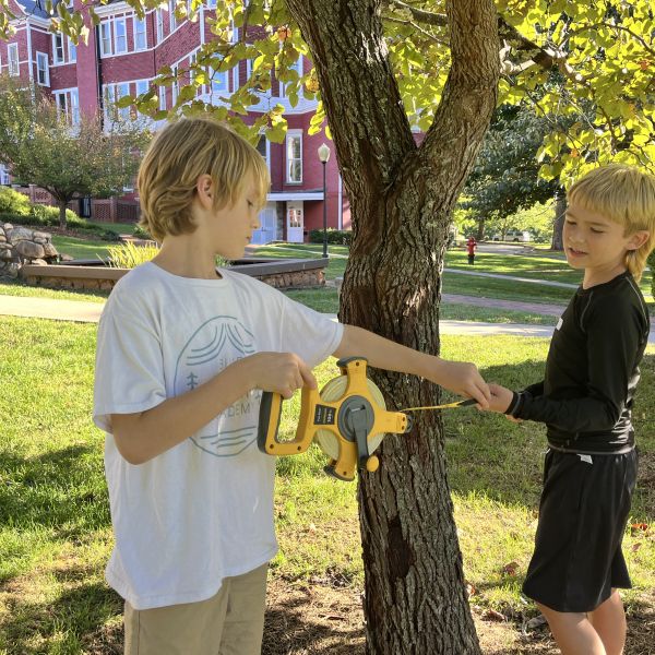 Two boys help each other measure a tree in a neighborhood park.