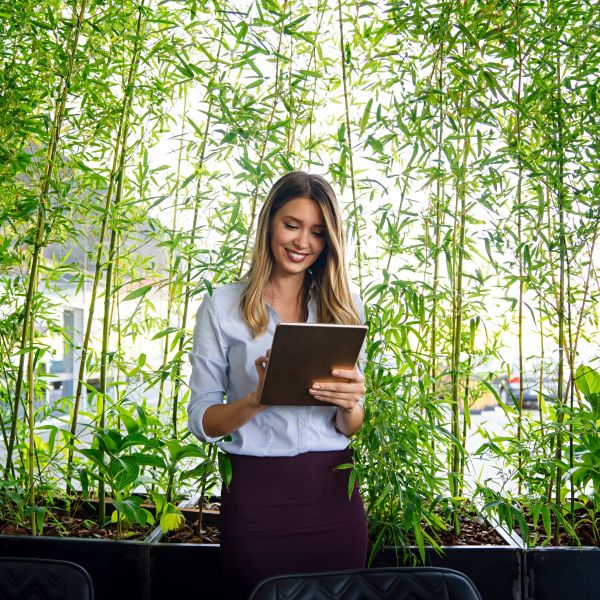 Young woman and professional uses a tablet while surrounded by bamboo