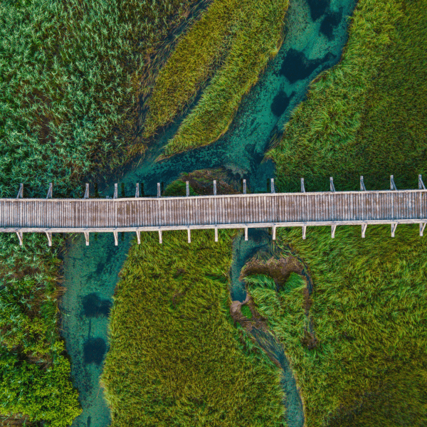 A bridge runs through an overhead landscape view - beneath it is a body of water and lush green vegetation