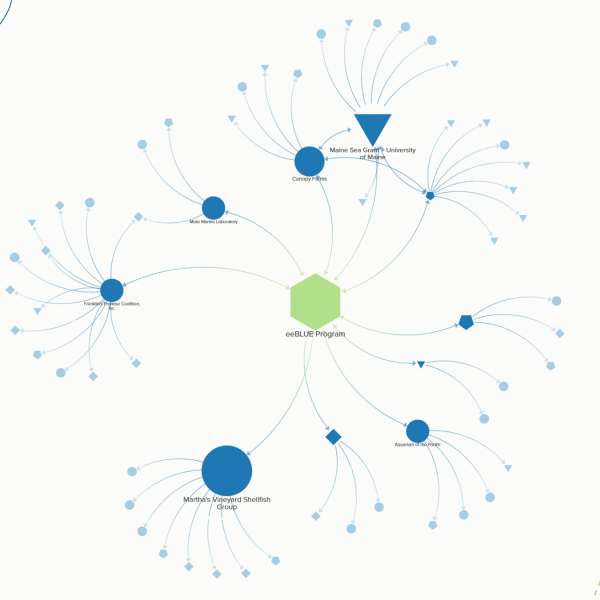 Visualization of a networks and partnerships