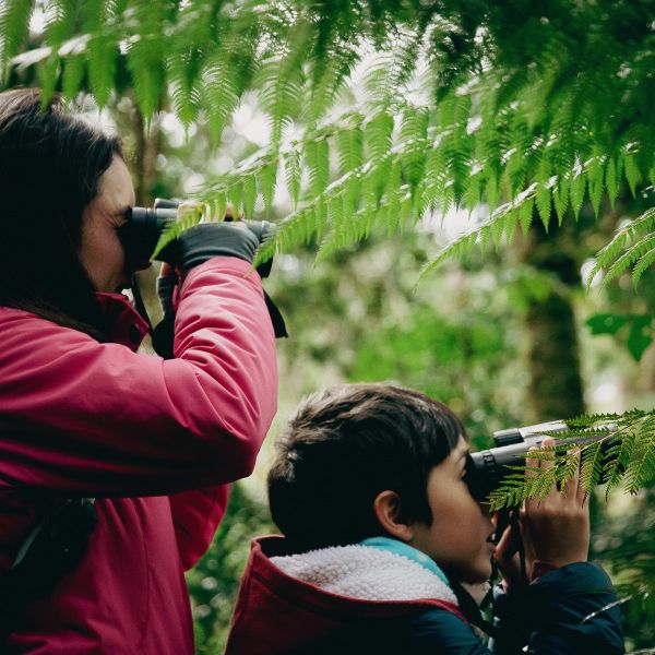A parent and child use binoculars in a forest