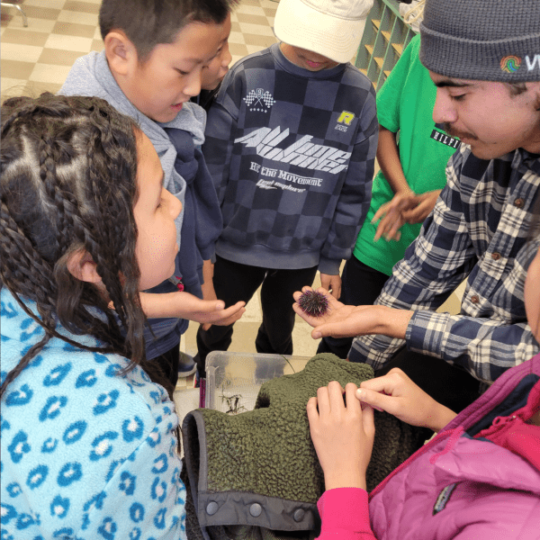 Group of students gather around a person holding up a sea urchin