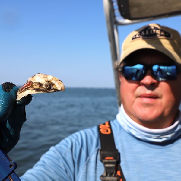 Reed Smith of Calusa Oyster Company, a farm based in Lower Tampa Bay, will be featured in our exhibit.