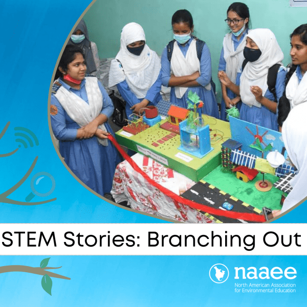 Logo for E-STEM Stories: Branching Out blog series