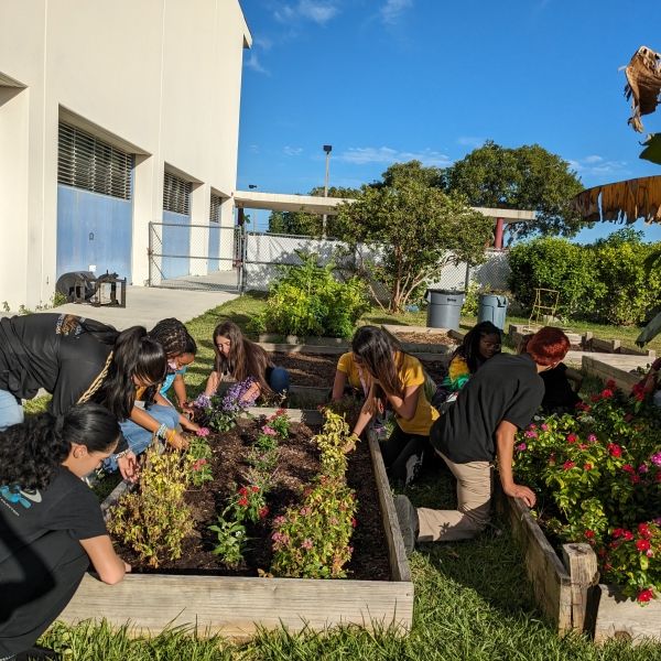 High school students work on their raised garden beds with their environmental club.
