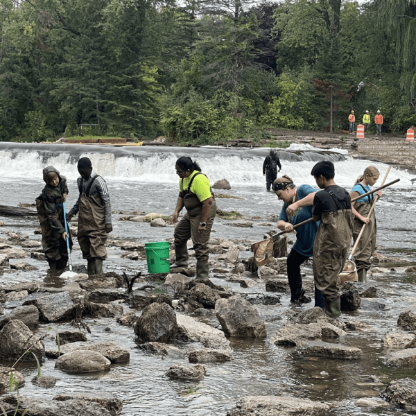 A group of children in waders carrying nets in a creek.
