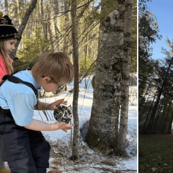 side-by-side photos of kids setting up bird treats and sunlight shining through trees