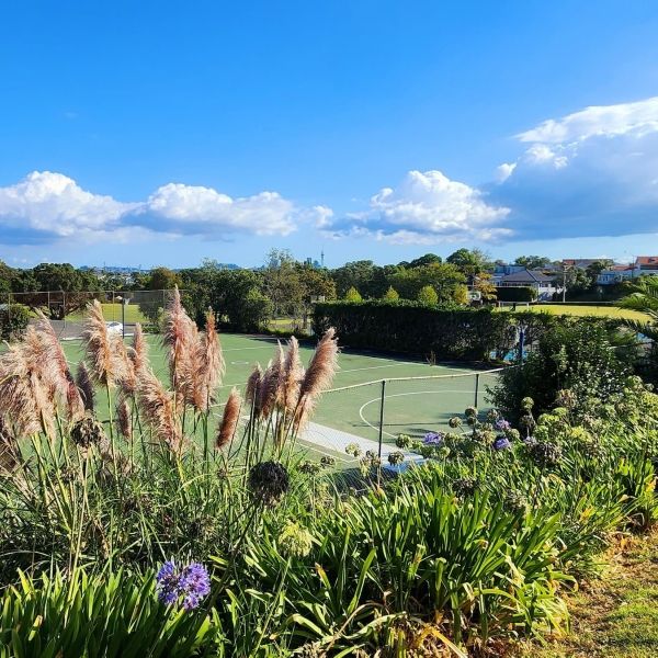 andscaped outdoor tennis court with ornamental grasses, purple flowers and brick sports facility under bright blue sky