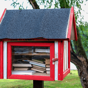 red free-sharing library box
