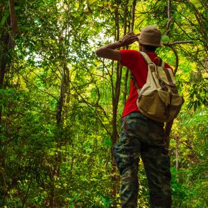 young backpacker looking at forest