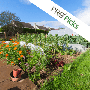 Community garden with white diagonal banner with label, "PRO Picks"