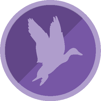 Connecting to Nature