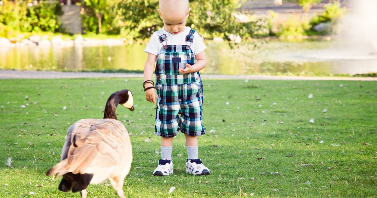 Habitus, Nature, Skills, and Development of Young Children. Feeling the ...