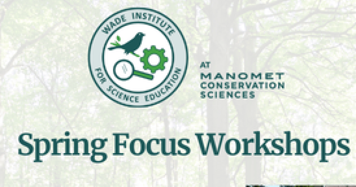 Smartfun Focus Spring Spring Focus Workshops | eePRO