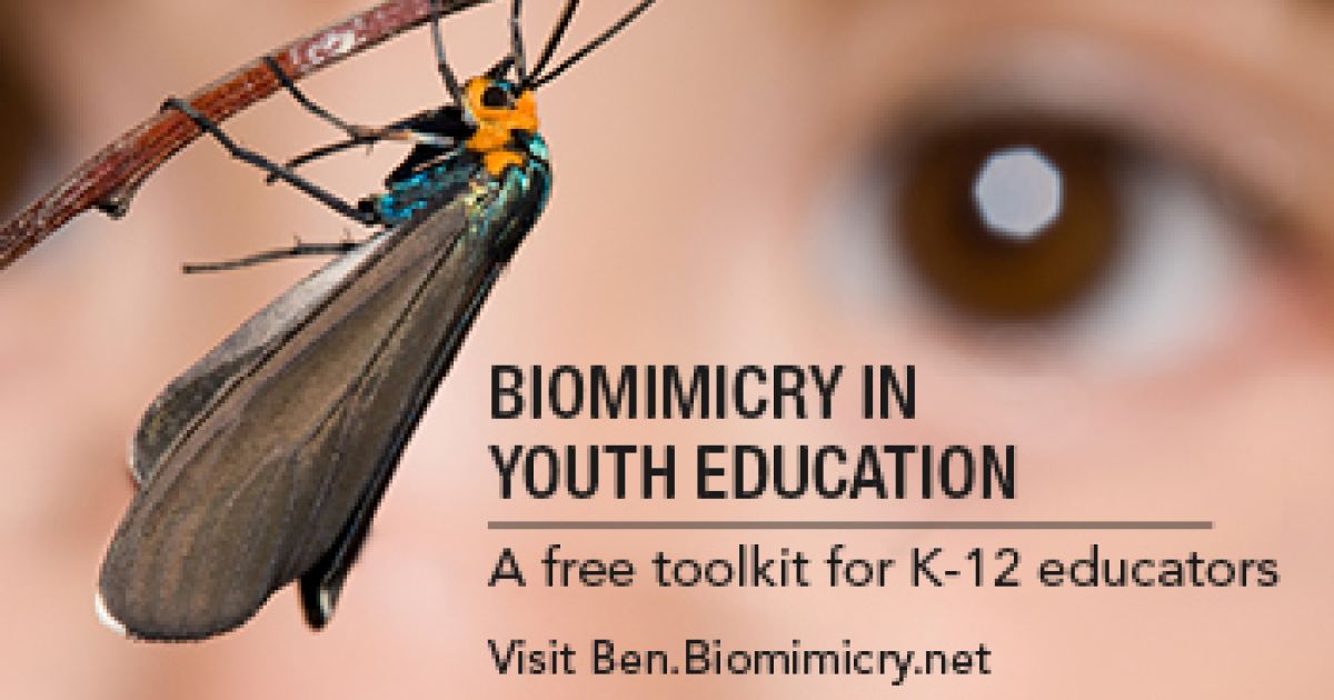 Biomimicry Breathes Life into STEM Education | eePRO