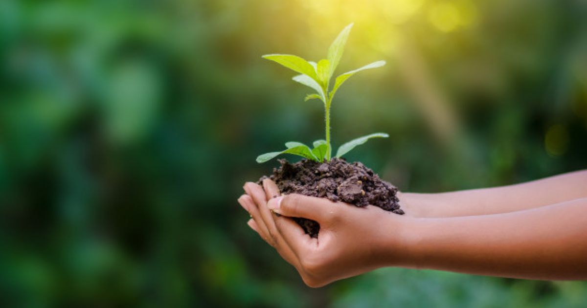 5th Grade Sustainability Unit Plan: Climate Change – Food Waste ...